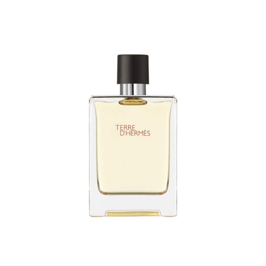 Hermes Hermes Terre D' Hermes Edt 100 Ml Parfums Zollfrei Best